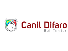 Canil Difaro Bull Terrier